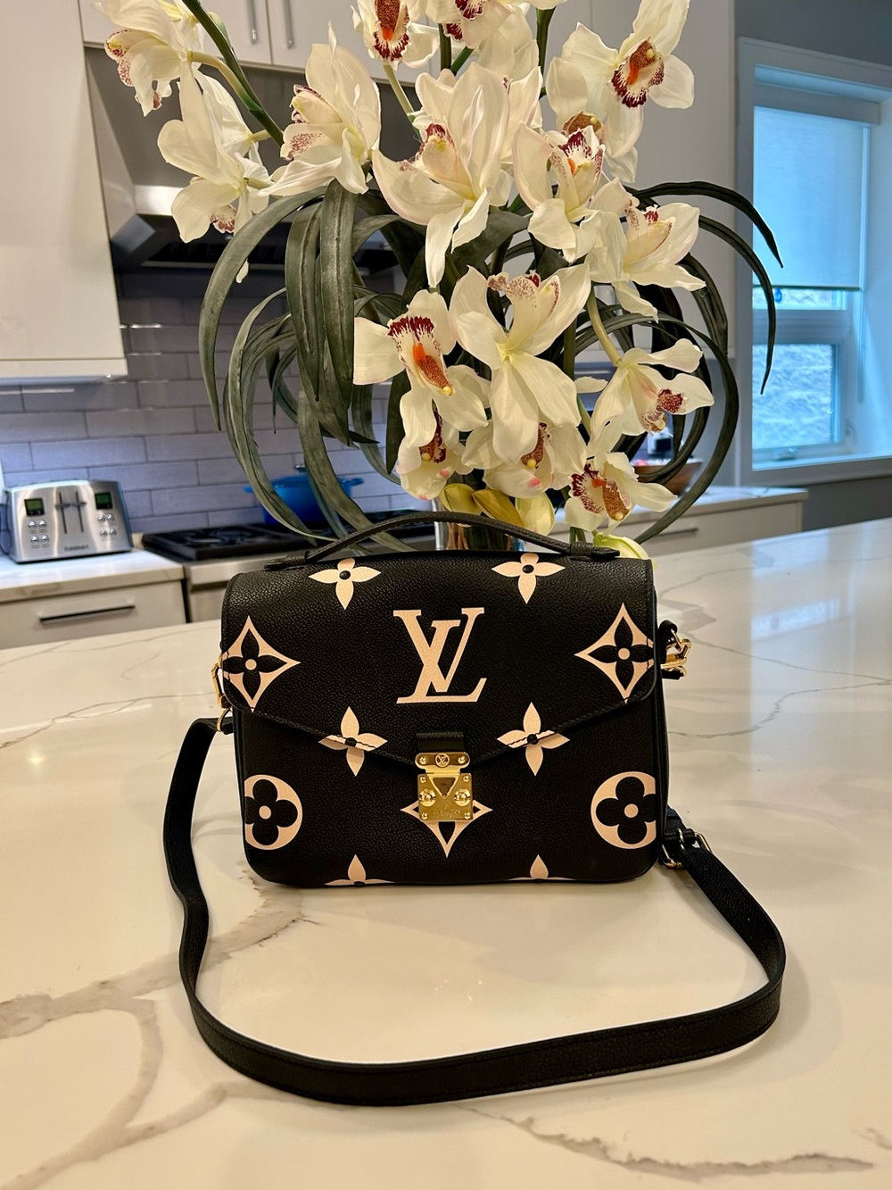 LOUIS VUITTON Monogram Giant Pochette Métis Purse/ Bag - MINT Condition